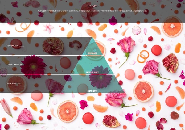 RULOPAK COSMIC M5 KEOPS FRAGRANCE CARTRIDGE 100 ML - Image 2