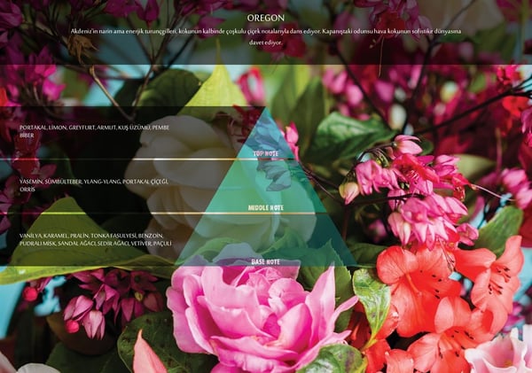 RULOPAK COSMIC M5 OREGON FRAGRANCE CARTRIDGE 100 ML - Image 2