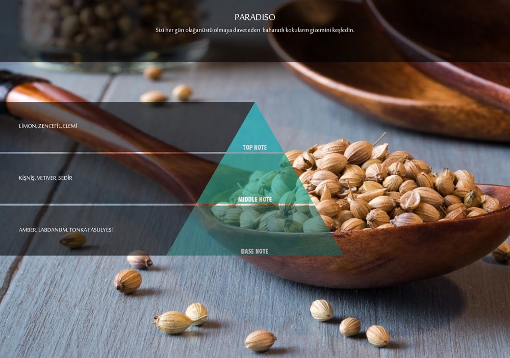 RULOPAK COSMIC M5 PARADISO FRAGRANCE CARTRIDGE 100 ML - Image 2