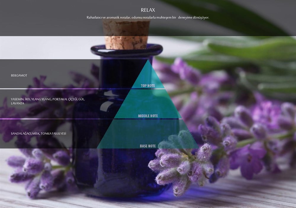 RULOPAK COSMIC M5 RELAX FRAGRANCE CARTRIDGE 100 ML - Image 2