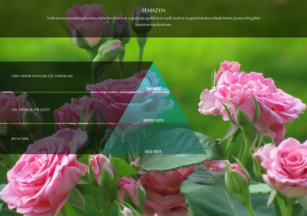 RULOPAK COSMIC M5 SEMAZEN FRAGRANCE CARTRIDGE 100 ML - Image 2