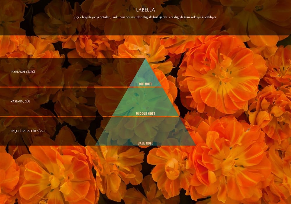 RULOPAK NANOPLUS M7 LABELLA FRAGRANCE CARTRIDGE 200 ML - Image 2