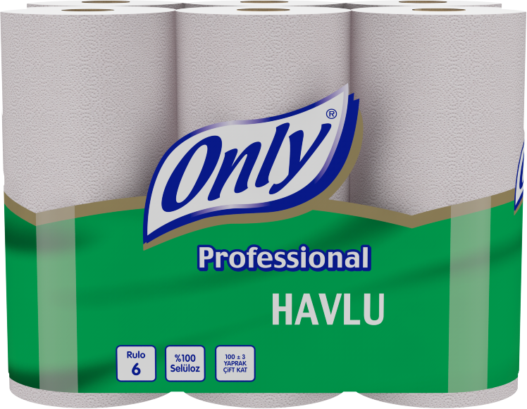 ONLY 6/24 PCS PROFESSIONAL TOWEL NEW